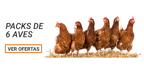 Packs de 6 Aves